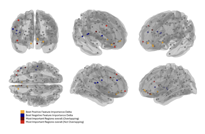 EEG Research Workshop